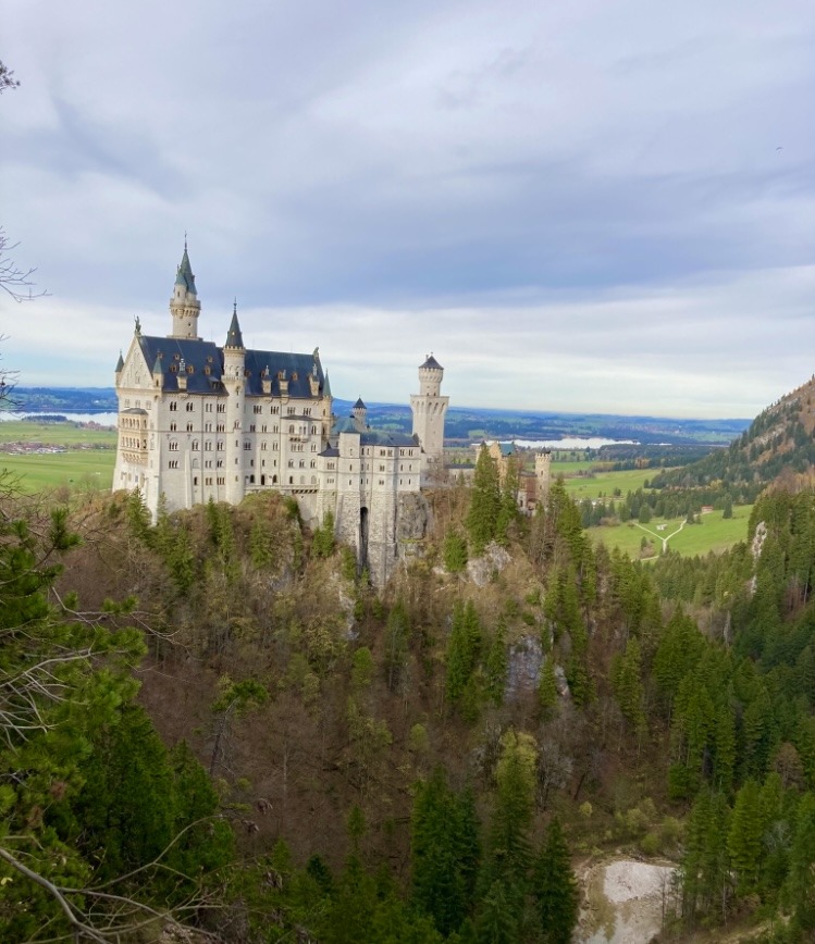 Middle age castle surrounding by Forrests