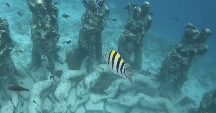 statues under the sea with black and yellow striped fish