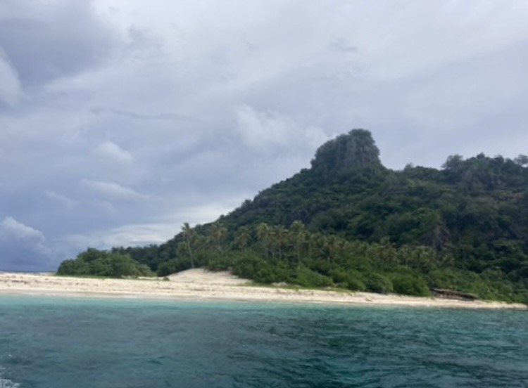 island with forest on and blue waters