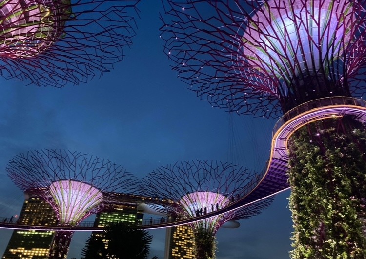 How to spend 24 hours in Singapore