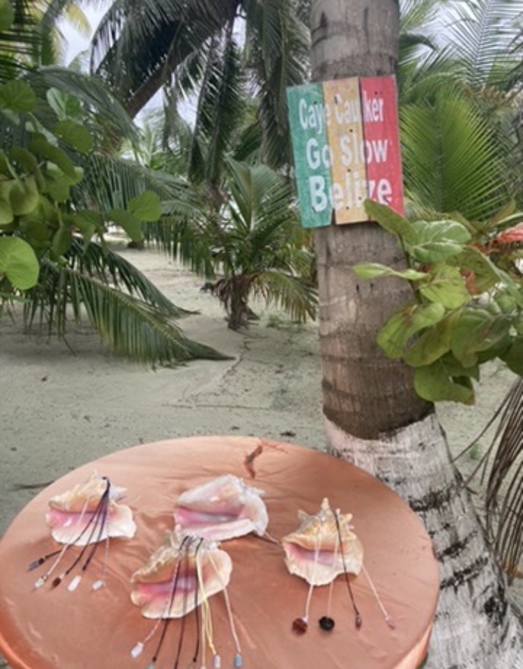 sea shells, necklaces and a sign that says "Go Slow Belize"