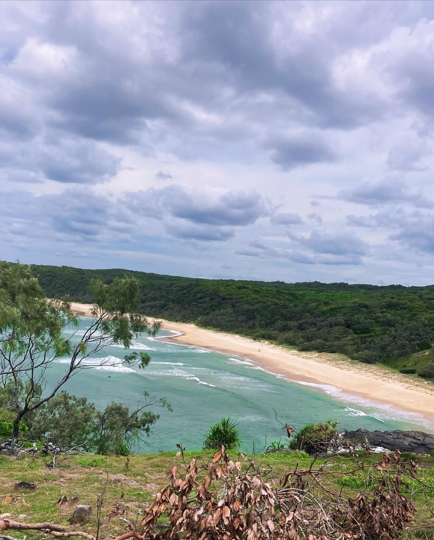 All the hues of blue: visiting beautiful Noosa