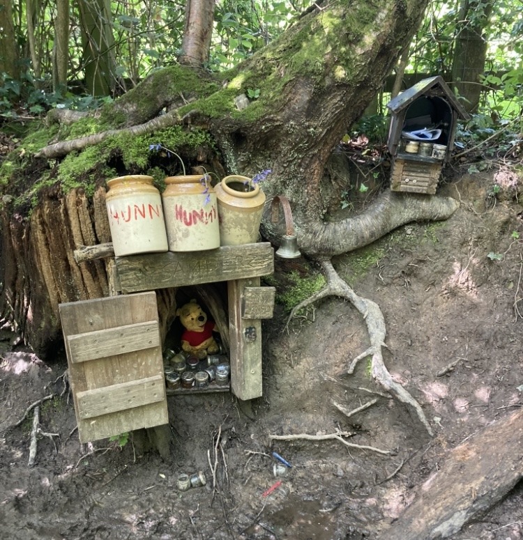 teddy in wooden hutch in forest