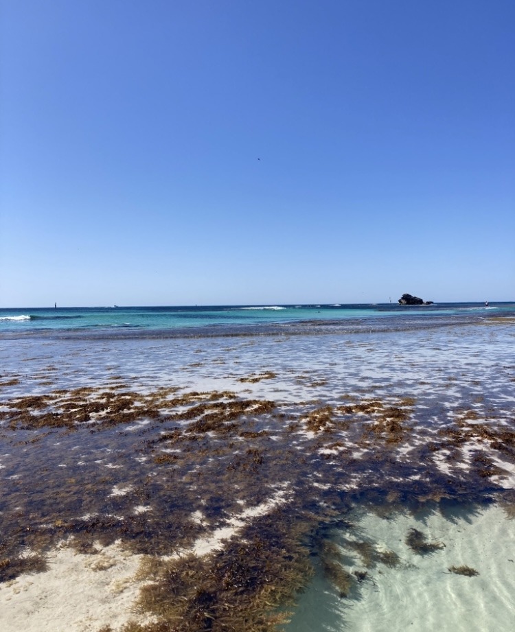 How to spend a day at Rottnest Island